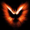 2293-626phoenix.jpg