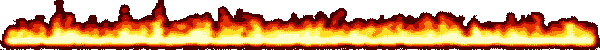 bar10.gif