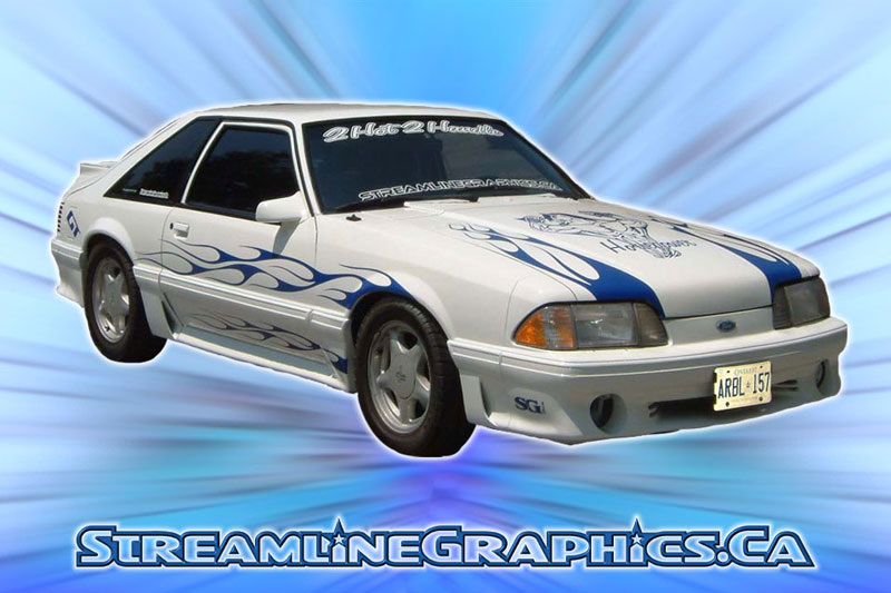 mustang-002.jpg