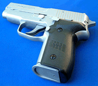 p228chani.gif