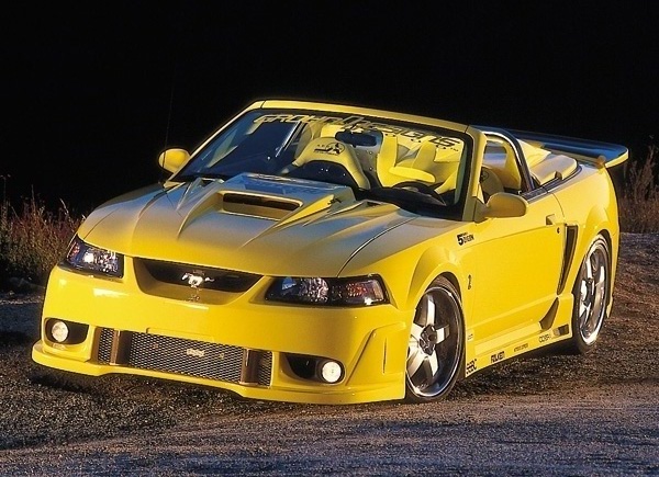 yellowstang.3.jpg